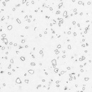 QD212 Mosaic Dolmatian